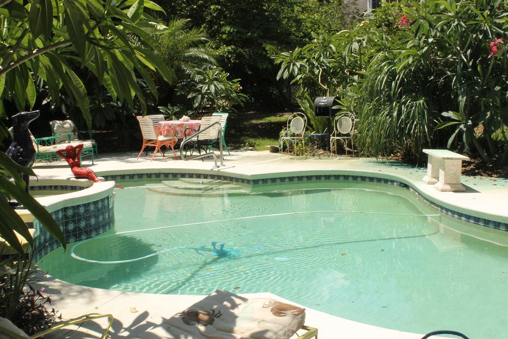 Heron Cay Lakeview Bed & Breakfast Маунт-Дора Экстерьер фото