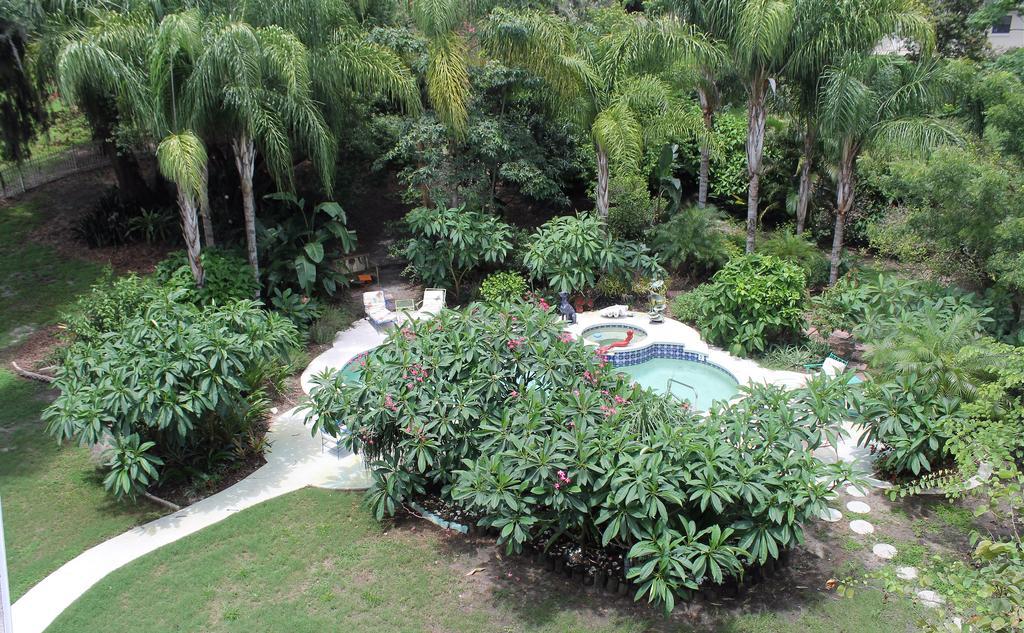 Heron Cay Lakeview Bed & Breakfast Маунт-Дора Экстерьер фото